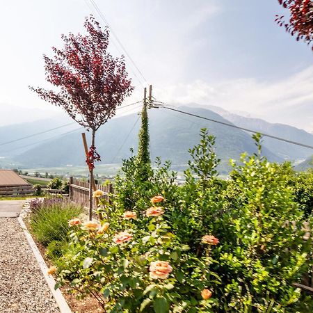 Langstein Wohnung Golden Coldrano Dış mekan fotoğraf