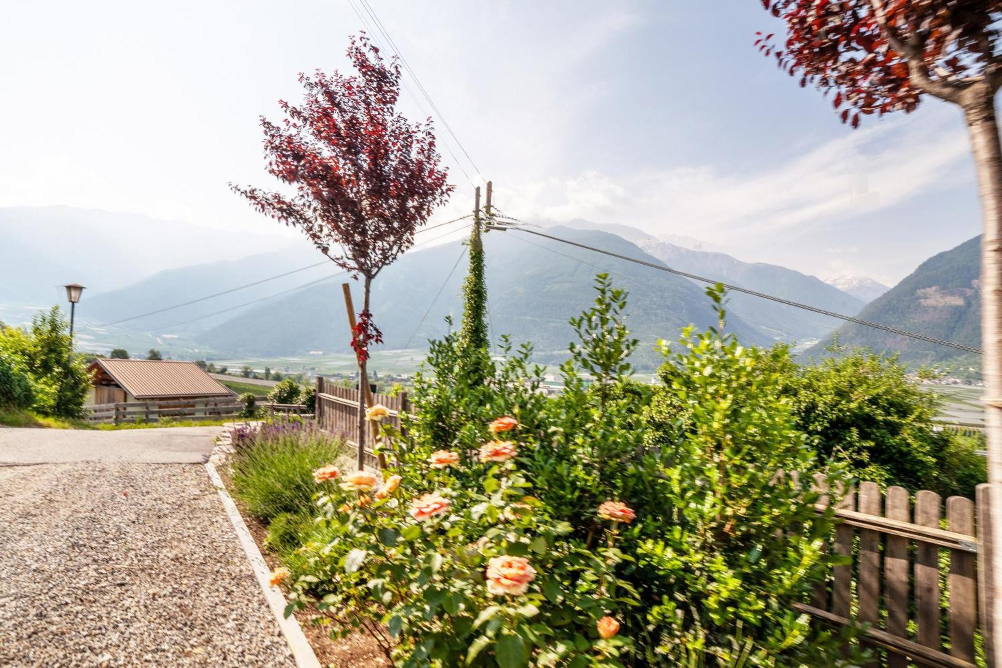 Langstein Wohnung Golden Coldrano Dış mekan fotoğraf